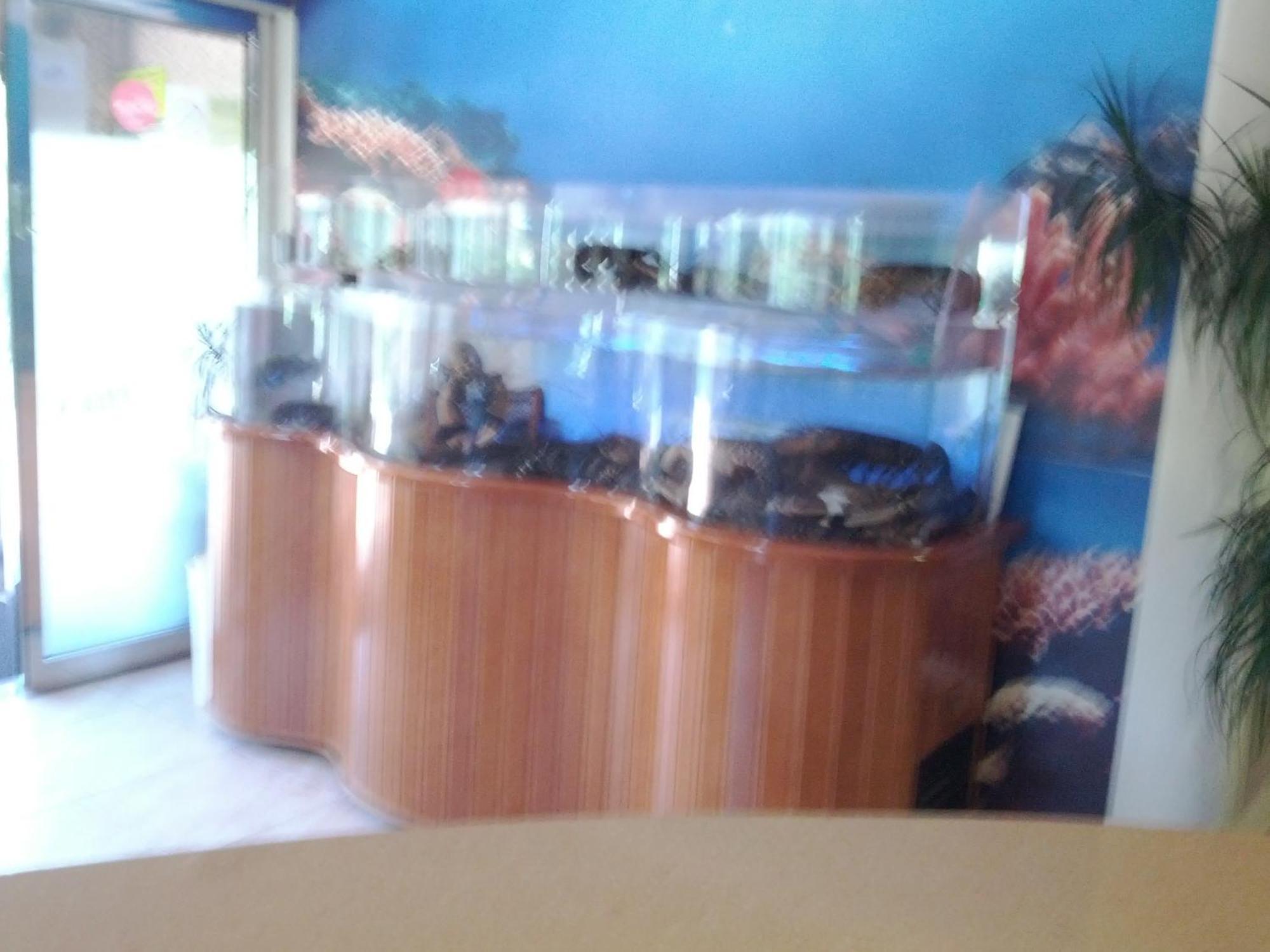Doade Hotel *
